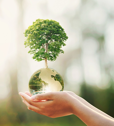 environment-1