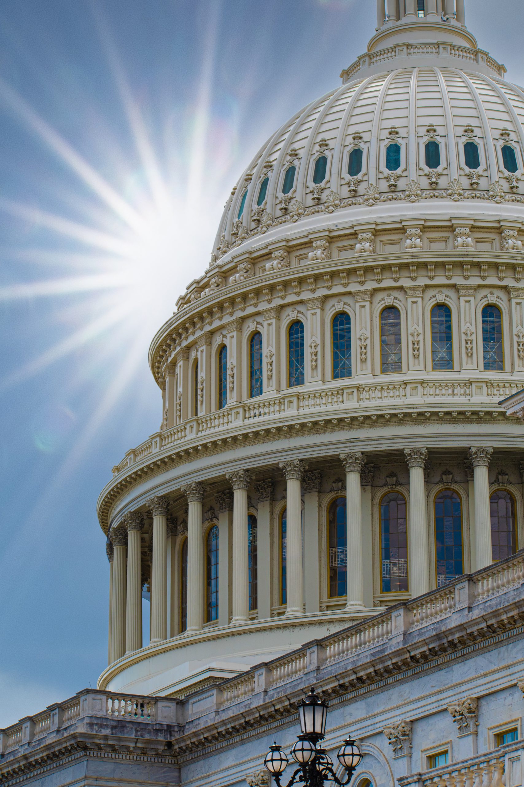 Democratic Politics in Congress, Washington DC